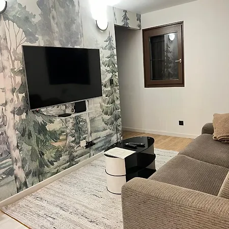 Moderne Vieille Parking Gratuit Apartamento Annecy