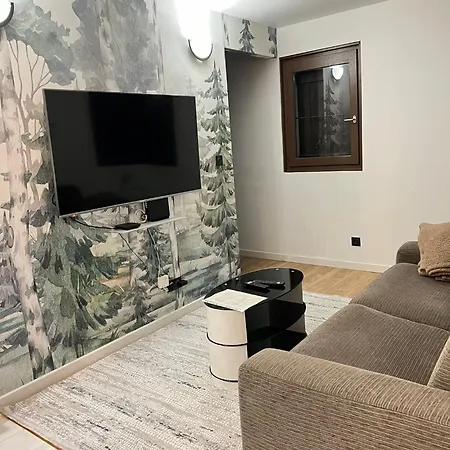 Moderne Vieille Parking Gratuit Apartamento Annecy