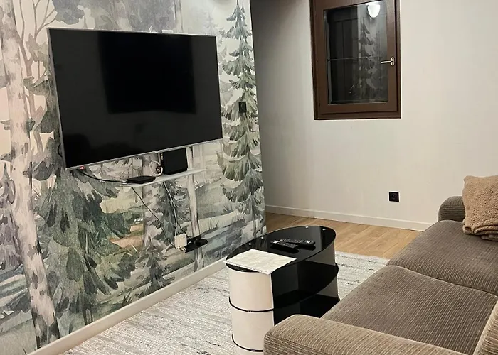 Moderne Vieille Parking Gratuit Appartement Annecy